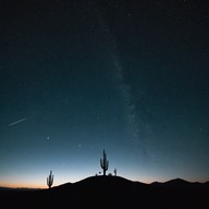 hypnotic guitar echoes under starlit skies