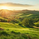 joyous fiddle piece evoking sunlit summer fields