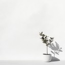 smooth modern instrumental jazz for relaxing cafes