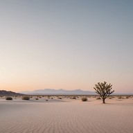 melodies blending tranquility with desert winds