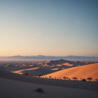 gentle strums welcome the day's first light
