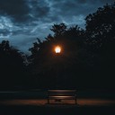 a reflective deep house song for solitary urban nights