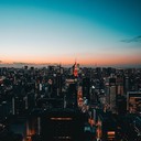 capture tokyo's electric soul in vibrant beats