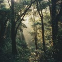 serene melodies creating a calm woodland atmosphere