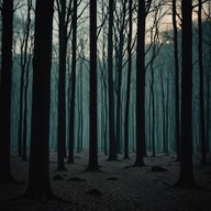 nature's own chilling lullabies in forgotten woods