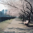 gentle melodies capturing a peaceful urban afternoon ambiance