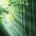 gentle melodies with unusual eastern inspired instrumentation and rhythms
