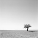 traveling through endless sand under scorching sun