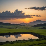 gentle sertanejo melody floating effortlessly