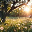 joyous orchestral piece capturing carefree summer day essence