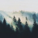 ambient soundscapes for peace, relaxation.