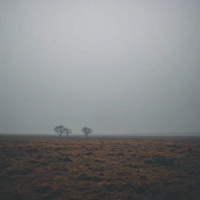 This piece utilizes somber military drums to evoke the unnerving silence after a battle. The drum patterns are methodical and sparse, embodying the tension and uncertainty of a deserted battlefield. The composition mirrors the ebb and flow of war, from moments of intense confrontation to the eerie calm that follows.