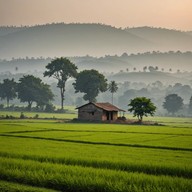 soothing soundscape mirrors calm sunrise vibes