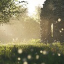 piano echoes through forgotten landscapes