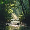 gentle water flowing, calming ambiance created