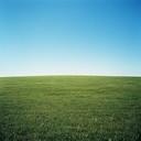 joyful melody sweeps over sunny fields