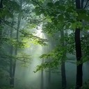 soft piano amidst nature's serene backdrop