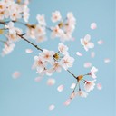 gentle flute melodies under cherry blossoms