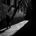 a haunting nocturnal journey