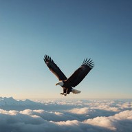soaring melodies guide a heroic adventure