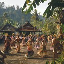 bright and lively party under the sunlit skies.