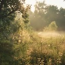 peaceful morning serenade with calming nature inspired acoustic sounds