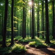 gentle harp, nature's serene backdrop