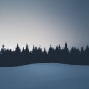 a brooding instrumental embodying the silence of finnish winter nights