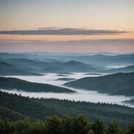 melancholic melodies sway among appalachian echoes