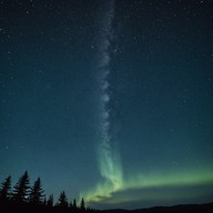 haunting melodies under a starry sky backdrop