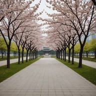 soothing piano under blooming trees