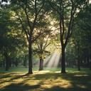 optimistic melody for a sunny afternoon walk soundtrack