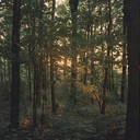orchestral piece mirroring a peaceful woodland