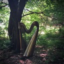 harp's soft notes create a peaceful introspective atmosphere