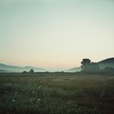 ethereal stomps and melodies for dawn nature experiences