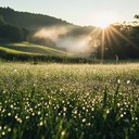 minimalistic, uplifting tune with bright and hopeful tones.