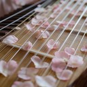 soothing koto harmonies with ambient tones for deep relaxation