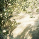 light, repetitive tones capturing simplistic joyful ambiance