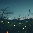 soft, quiet music for calming night time musings.