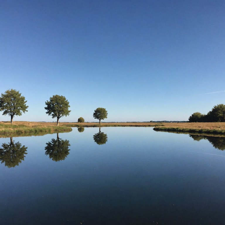 Inspired by the gentle whisper of the wind across a serene, untouched landscape, this track features tranquil melodies that evoke a sense of peace and solitude. It's an escape to a calm, pristine nature reserve, where every soft note resembles a leaf fluttering in the breeze.