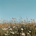 joyful piano melodies evoke calm, warmth, and peace