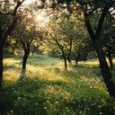peaceful, serene piano against gentle orchestral background