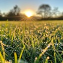 celestial notes dance over peaceful fields