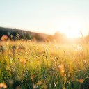 upbeat, sunny melody for a lively morning jingle