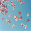 elegant instrumental jpop piece inspired by cherry blossoms in spring