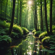 a calming, soothing track embracing tranquility.