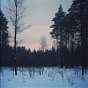 nordic inspired melancholic instrumental for wintry quiet reflection.