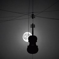 a lone violin conveys deep, haunting solitude