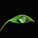 soft, tranquil melodies to start your day harmoniously