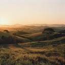 calm, uplifting, and deeply rooted rural brazilian feel